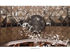 นี่หรือคือสตาร์บั๊คส์เกาหลี มัน ใหญ่ มาก! Starbucks Famille Park