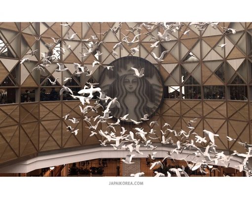 นี่หรือคือสตาร์บั๊คส์เกาหลี มัน ใหญ่ มาก! Starbucks Famille Park
