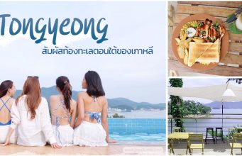 ทงยอง (Tongyeong) ต้องลองสักครั้ง สัมผัสเสน่ห์ทะเลใต้เกาหลี!