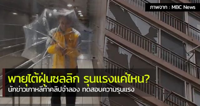 typhoon-soulik-seoul พยากรณ์อากาศเกาหลี