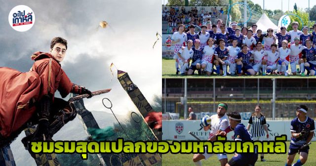 ควิดดิช เกาหลี ชมรม