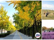 4 จุดชมวิวสวยใน Olympic Park เช็คก่อนไป เพราะว่ามัน ใหญ่ มาก!