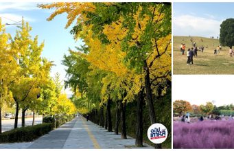 4 จุดชมวิวสวยใน Olympic Park เช็คก่อนไป เพราะว่ามัน ใหญ่ มาก!
