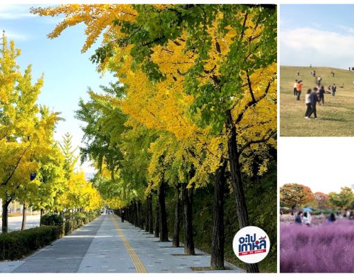 4 จุดชมวิวสวยใน Olympic Park เช็คก่อนไป เพราะว่ามัน ใหญ่ มาก!