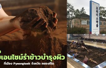 พาไปแช่เอนไซม์รำข้าวร้อน บำรุงผิว ลดอาการปวดเมื่อยที่เมือง Pyeongtaek!