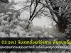 (13 ธ.ค.) หิมะตกโซล-ตอนกลางเกาหลี ส่งข้อความเตือนระวังถนนลื่นเช้าพรุ่งนี้ พยากรณ์อากาศเกาหลี