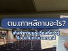 ตม.เกาหลี ถามอะไร? เก็งคำถามและเรื่องที่คุณควรรู้ก่อนเดินทางมาเกาหลี คำถาม ตม.เกาหลี 2018