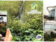 Seoul Botanic Park ท่องเที่ยวในสวนพฤกษศาสตร์ ป่าในร่มของกรุงโซล (อัปเดต 2023)