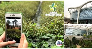 Seoul Botanic Park ท่องเที่ยวในสวนพฤกษศาสตร์ ป่าในร่มของกรุงโซล (อัปเดต 2023)