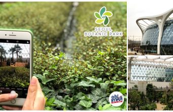 Seoul Botanic Park ท่องเที่ยวในสวนพฤกษศาสตร์ ป่าในร่มของกรุงโซล (อัปเดต 2023)
