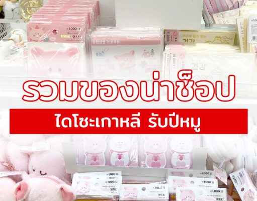 รวมของน่าช็อปรับปีหมู 2019 ร้านไดโซะเกาหลี ! ไดโซะเกาหลี