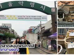 ทัวร์พิพิธภัณฑ์สมุนไพรเกาหลี พาไปดูตำรับยาโบราณ – สายสุขภาพต้องทางนี้ !!