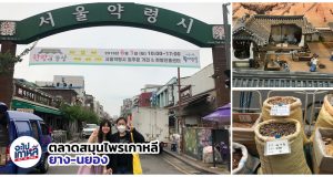 ทัวร์พิพิธภัณฑ์สมุนไพรเกาหลี พาไปดูตำรับยาโบราณ – สายสุขภาพต้องทางนี้ !!