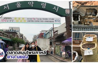 ทัวร์พิพิธภัณฑ์สมุนไพรเกาหลี พาไปดูตำรับยาโบราณ – สายสุขภาพต้องทางนี้ !!