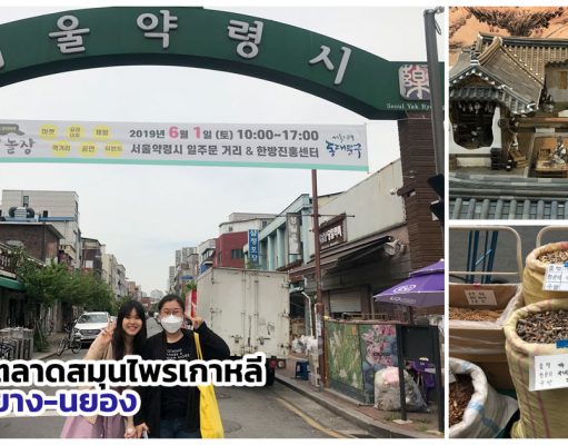ทัวร์พิพิธภัณฑ์สมุนไพรเกาหลี พาไปดูตำรับยาโบราณ – สายสุขภาพต้องทางนี้ !!