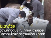 เกาหลีพบโรงงานกำจัดขยะ ฉาบฉวยจำหน่ายหน้ากากไม่ได้มาตรฐานให้ร้านขายยา