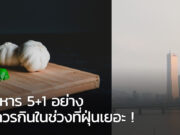 อาหาร 5 อย่างที่ควรกินในช่วงที่ฝุ่นเยอะ ! (ที่หาทานได้จากในเกาหลี) อาหารต้านฝุ่น PM 2.5