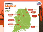 คาดการณ์ใบไม้เปลี่ยนสีเกาหลี อัปเดต 2021 !