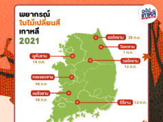 คาดการณ์ใบไม้เปลี่ยนสีเกาหลี อัปเดต 2021 !