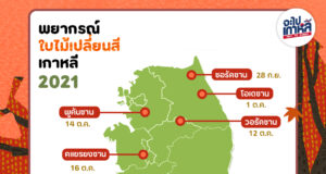 คาดการณ์ใบไม้เปลี่ยนสีเกาหลี อัปเดต 2021 !