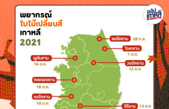 คาดการณ์ใบไม้เปลี่ยนสีเกาหลี อัปเดต 2021 !