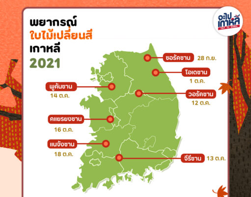 คาดการณ์ใบไม้เปลี่ยนสีเกาหลี อัปเดต 2021 !