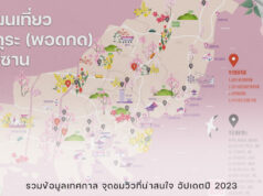 จุดชมซากุระบานในเกาหลี (ปูซาน) อัปเดตข้อมูลปี 2023 แผนเที่ยวปูซาน ฤดูใบ้ไม้ผลิ ซากุระ 2566 2023