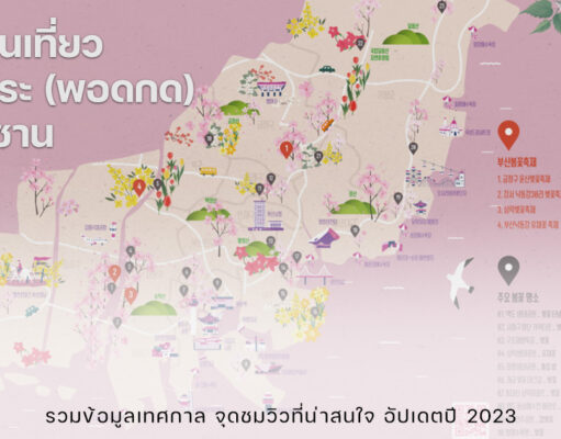 จุดชมซากุระบานในเกาหลี (ปูซาน) อัปเดตข้อมูลปี 2023 แผนเที่ยวปูซาน ฤดูใบ้ไม้ผลิ ซากุระ 2566 2023