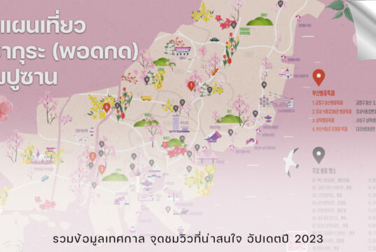 จุดชมซากุระบานในเกาหลี (ปูซาน) อัปเดตข้อมูลปี 2023 แผนเที่ยวปูซาน ฤดูใบ้ไม้ผลิ ซากุระ 2566 2023
